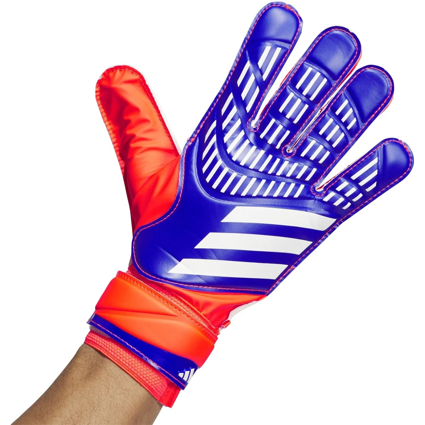 Thumb 2